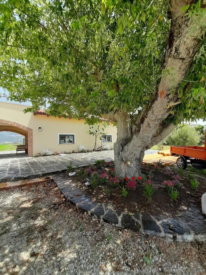 B&B Tenuta San Michele Capaccio ภายนอก รูปภาพ