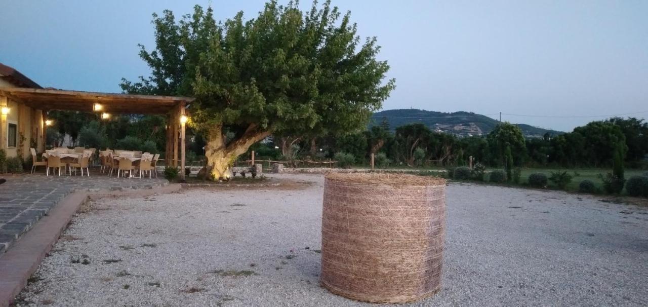 B&B Tenuta San Michele Capaccio ภายนอก รูปภาพ