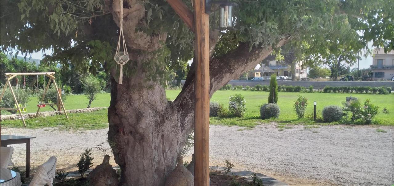 B&B Tenuta San Michele Capaccio ภายนอก รูปภาพ
