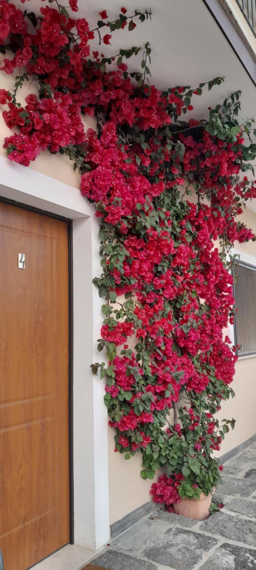 B&B Tenuta San Michele Capaccio ภายนอก รูปภาพ